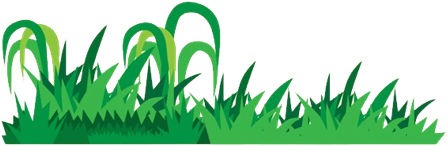 草.png